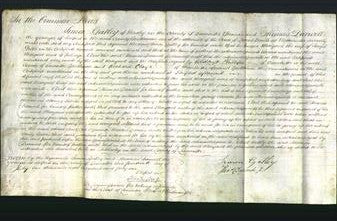 Court of Common Pleas - Margaret Gibbs-Original Ancestry