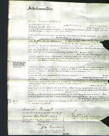 Court of Common Pleas - Mary Webster-Original Ancestry