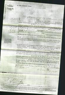 Court of Common Pleas - Elizabeth Graver-Original Ancestry