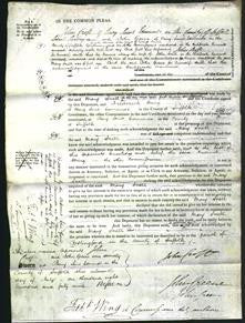 Court of Common Pleas - Mary Snell-Original Ancestry