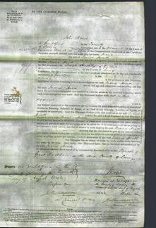 Court of Common Pleas - Maria Heath-Original Ancestry