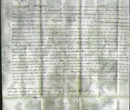 Court of Common Pleas - Sarah Godfrey-Original Ancestry