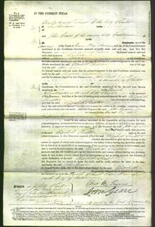 Court of Common Pleas - Elizabeth Shapter-Original Ancestry