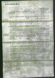 Court of Common Pleas - Emma Sarah Wood-Original Ancestry