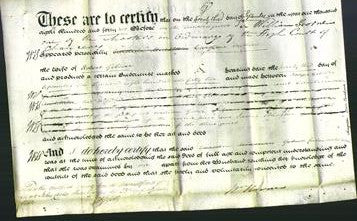 Deed by Married Women - Caroline Onslow Gibson-Original Ancestry