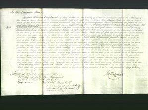 Court of Common Pleas - Ann Sturges White-Original Ancestry