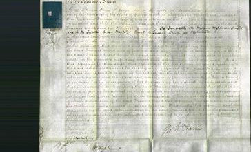 Court of Common Pleas - Frances Ward-Original Ancestry