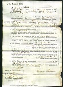 Court of Common Pleas - Elizabeth Charles-Original Ancestry