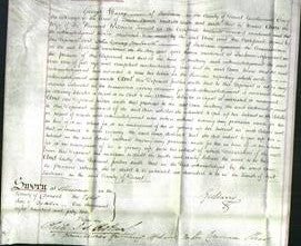 Court of Common Pleas - Ann Toogood-Original Ancestry
