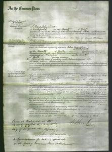 Court of Common Pleas - Ann Richardson-Original Ancestry