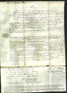 Court of Common Pleas - Margaret Young-Original Ancestry