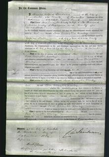 Court of Common Pleas - Jane Errington Worsley-Original Ancestry