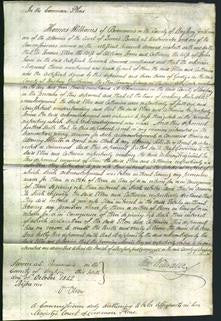 Court of Common Pleas - Ellen Jones and Catherine Jones-Original Ancestry