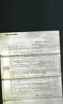 Court of Common Pleas - Ann Stone-Original Ancestry