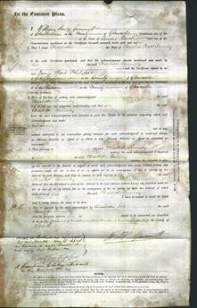 Court of Common Pleas - Charlotte Kennedy-Original Ancestry