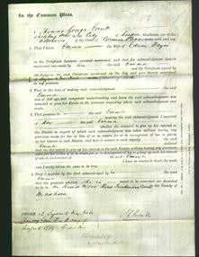 Court of Common Pleas - Emma Fryer-Original Ancestry