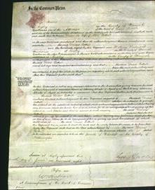 Court of Common Pleas - Dorcas Bottrill-Original Ancestry