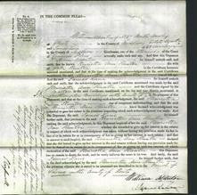 Court of Common Pleas - Henrietta Ann Hunter-Original Ancestry