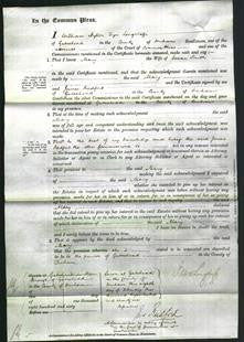 Court of Common Pleas - Mary Smith-Original Ancestry