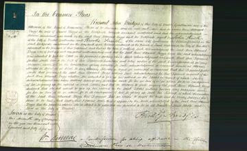 Court of Common Pleas - Ann Attwood Biggs-Original Ancestry