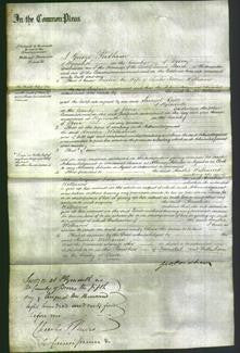 Court of Common Pleas - Amelia Williams-Original Ancestry