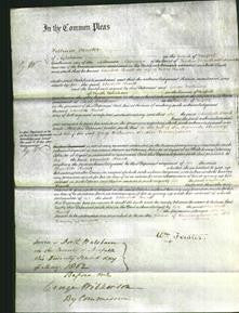 Court of Common Pleas - Charlotte Hewitt-Original Ancestry