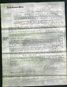 Court of Common Pleas - Mary Gaite-Original Ancestry