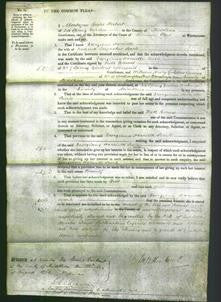 Court of Common Pleas - Georgiana Harriette Searle-Original Ancestry