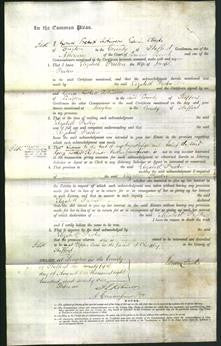 Court of Common Pleas - Elizabeth Preston-Original Ancestry