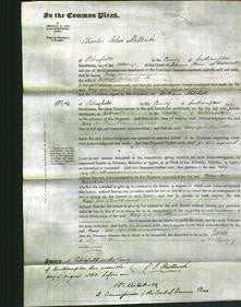 Court of Common Pleas - Mary Ann Kennett-Original Ancestry