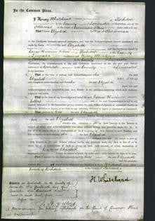 Court of Common Pleas - Elizabeth Lomax-Original Ancestry