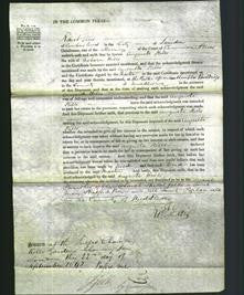 Court of Common Pleas - Augusta Hills-Original Ancestry