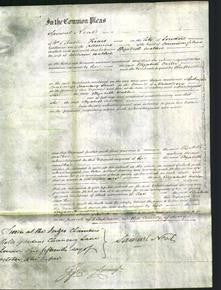 Court of Common Pleas - Elizabeth Walker-Original Ancestry