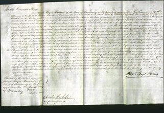 Court of Common Pleas - Elizabeth Walters-Original Ancestry