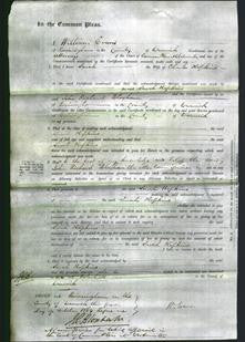 Court of Common Pleas - Sarah Hopkins-Original Ancestry