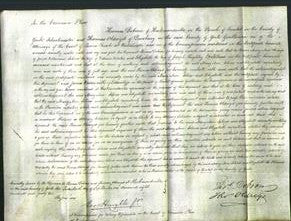 Court of Common Pleas - Mary Ann Wilkinson, Selina Webster and Elizabeth Brickhead-Original Ancestry