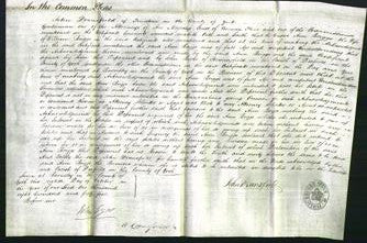 Court of Common Pleas - Ann Briggs-Original Ancestry