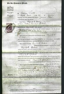 Court of Common Pleas - Elizabeth Roberts-Original Ancestry