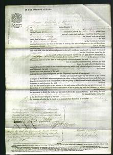 Court of Common Pleas - Martha Brett-Original Ancestry