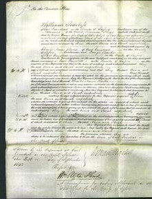 Court of Common Pleas - Anna Whyle and Sarah Wood-Original Ancestry
