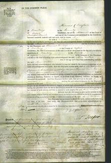 Court of Common Pleas - Ann Wilson-Original Ancestry