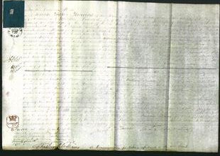 Court of Common Pleas - Hannah Darres-Original Ancestry