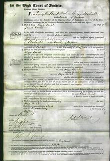 Court of Common Pleas - Eliza Sarah Davies-Original Ancestry