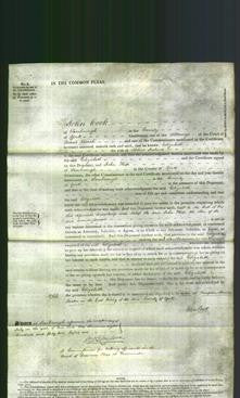 Court of Common Pleas - Elizabeth Ireland-Original Ancestry