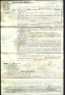 Court of Common Pleas - Elizabeth Holland-Original Ancestry