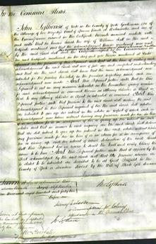 Court of Common Pleas - Sarah Scott-Original Ancestry