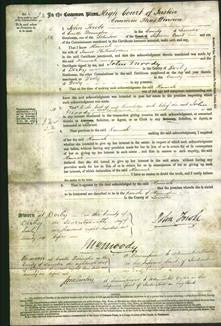 Court of Common Pleas - Hannah Hickinbottom-Original Ancestry