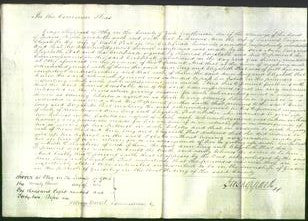 Court of Common Pleas - Elizabeth Peat and Ann Long-Original Ancestry