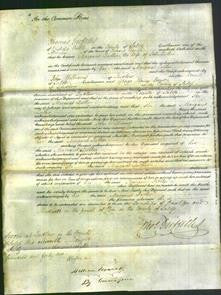 Court of Common Pleas - Margaret Luther-Original Ancestry