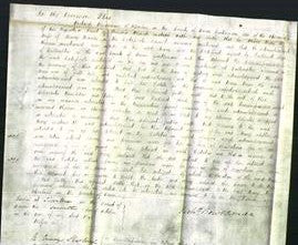 Court of Common Pleas - Mary Manley-Original Ancestry